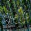Rideau de douche Tree Forest-969339080