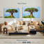 Baobab africain-243312607