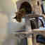 Customer photo 3 of 3