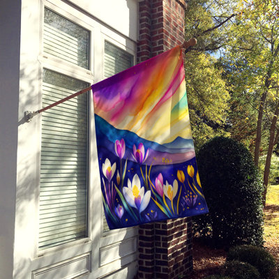 Drapeau de maison en polyester à double face H 40 po x l 28 po