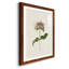 Mauve Garden Flowers V - peinture encadrée-1874087951-1874087950