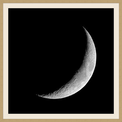 Lunar Lens 1 Print by Thom Filicia