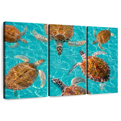 Brampt Turtles