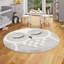 Rucker Shaggy Grey Rug