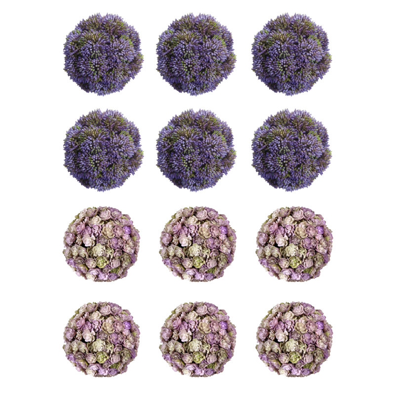 Sedum décoratif, Lavande / mauve