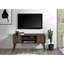 Meuble télé de style Mid-Century de 47 pouces pour téléviseurs de 50 à 55 pouces, 2 étagères, 2 placards, noyer foncé-1392842758