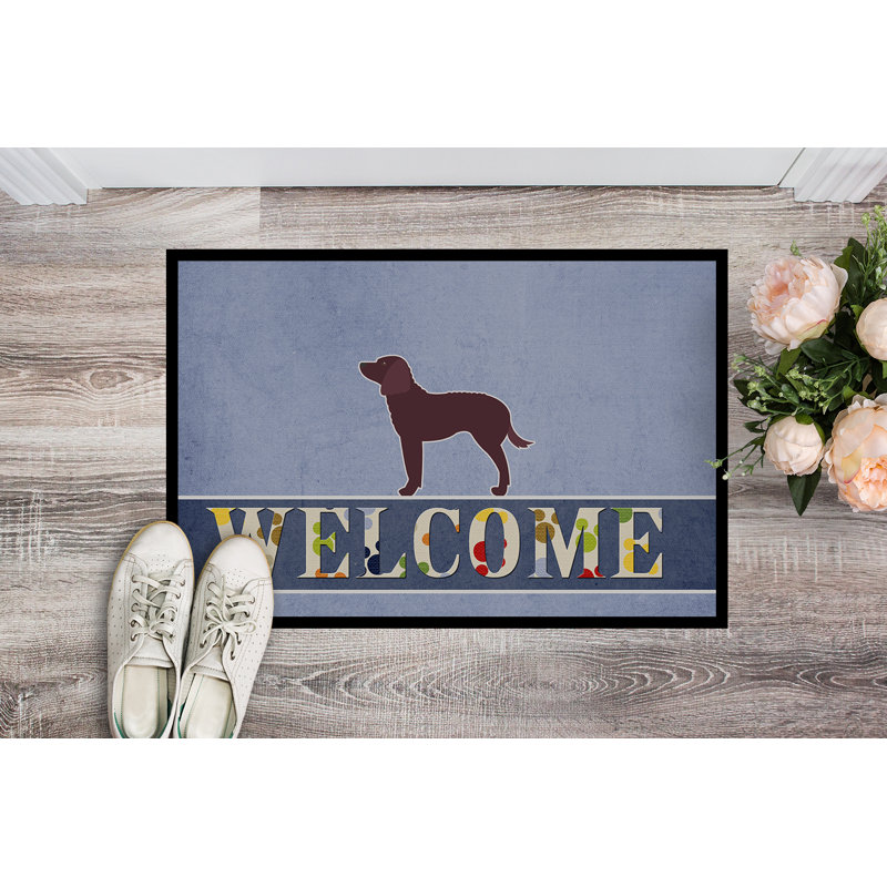 Welcome Non-Slip Outdoor Door Mat, American Water Spaniel, Rectangle 2' x 3'
