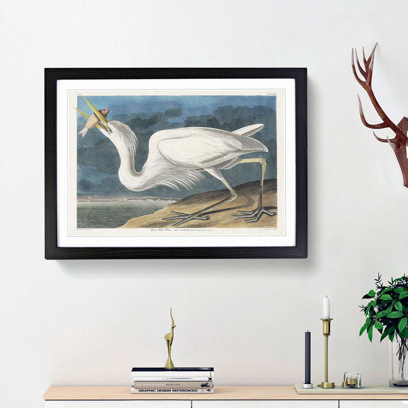 Great White Heron by John Audubon - Picture Frame Painting Print, 27cm H x 36cm W x 2cm D, Black Framed