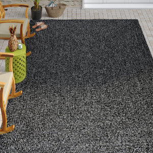 https://assets.wfcdn.com/im/63904754/resize-h300-w300%5Ecompr-r85/8757/87570275/Briyanah+Solid+Indoor%2FOutdoor+Area+Rug+for+Living+Room+Patio+Deck+Front+Porch+Kitchen%2C+Charcoal.jpg