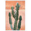 Orange Cacti 1 Print by Nathan Turner