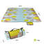 Picnic Blanket