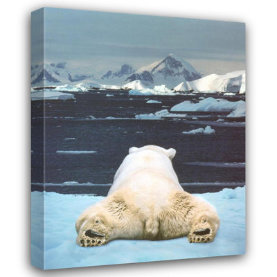 Rêve d'un ours polaire