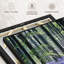 Impression sur toile Bluebell Vision-169872312