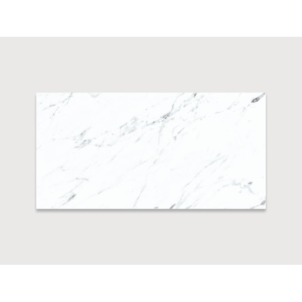 FDM 105 12" x 24" Polished