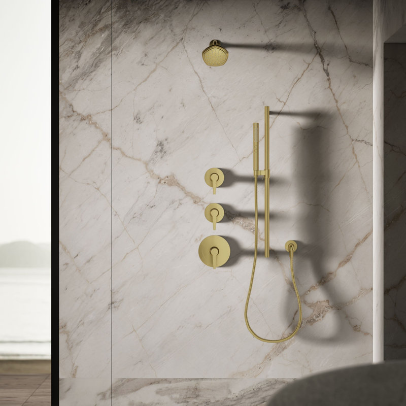 Occasion Single-Function Showerhead, Vibrant Brushed Moderne Brass