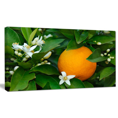 Orange Blossom - reproduction de photo sur toile tendue