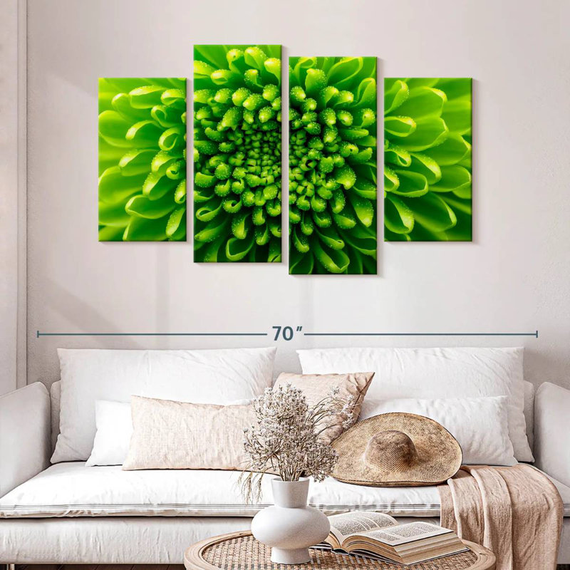 Chrysanthème vert Harnek, H 32 po x l 52 po