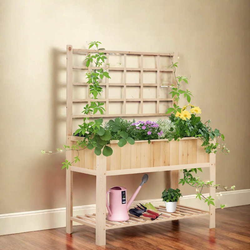 Shellman Wood Raised Garden Bed