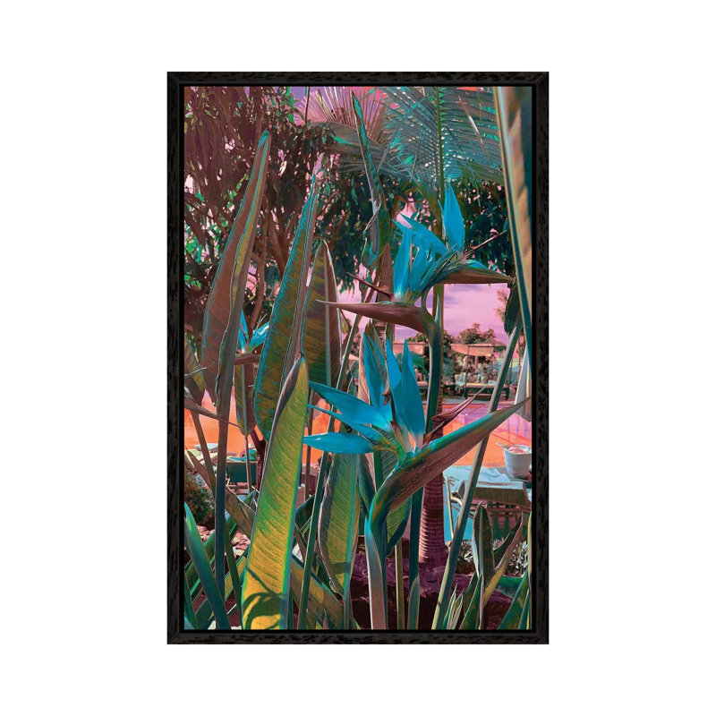 Ultra Tropical by Nathan Head - Print on Canvas, Black Framed, 66.04cm H x 45.72cm W x 3.81cm D