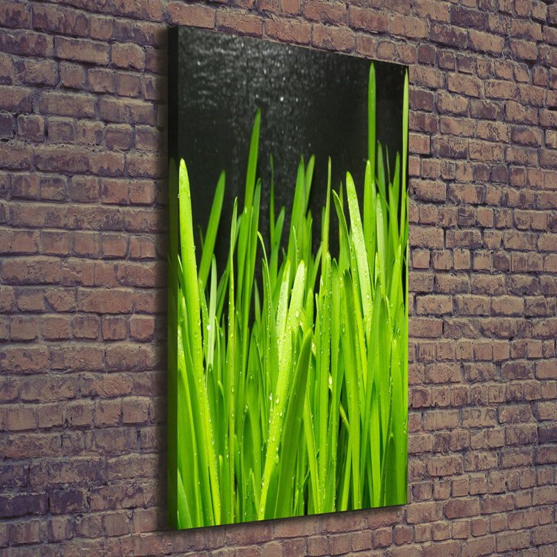 Blades Of Grass - Wrapped Canvas Print