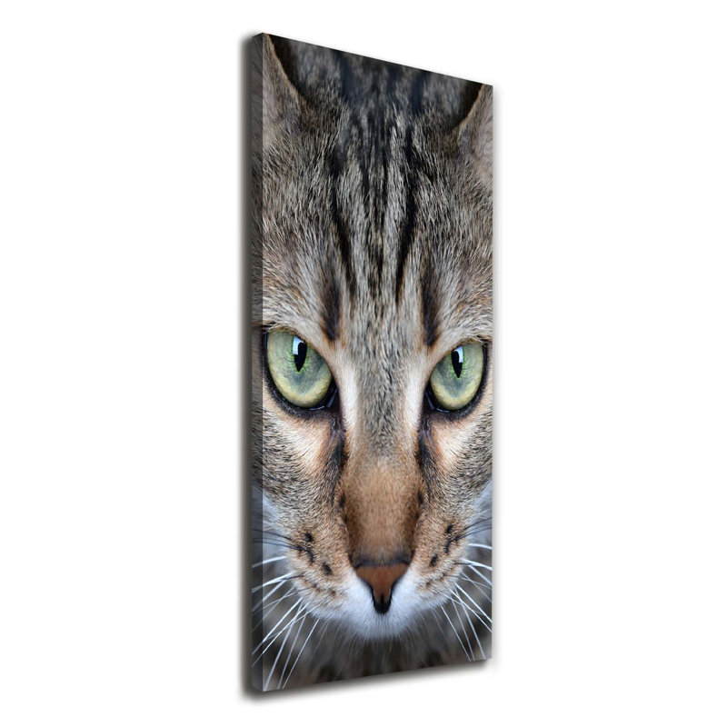 Cat's eyes 1 Piece Wrapped Canvas Wall Art