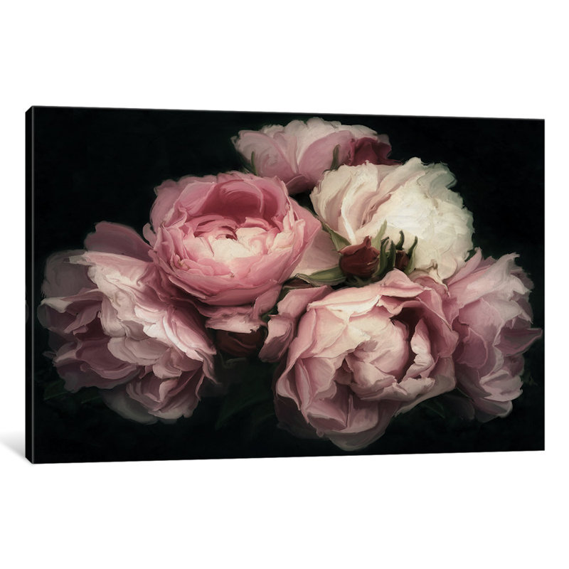 «Vintage Posy» par 5by5collective, reproduction d'art graphique sur toile, H 40 po x l 60 po x p 1,5 po