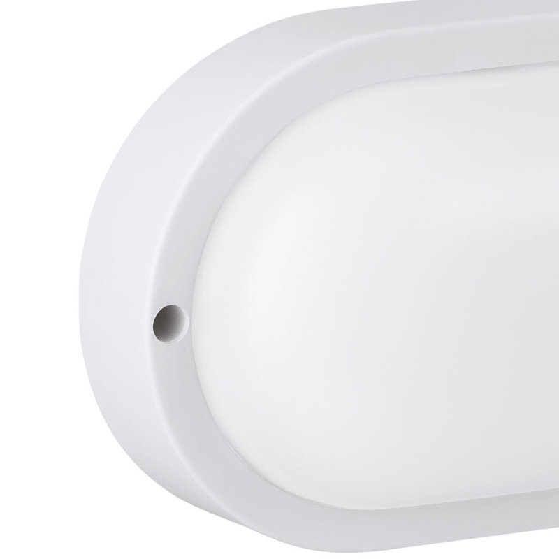 Balam White 5.5cm H Frosted Glass Outdoor Flush Mount