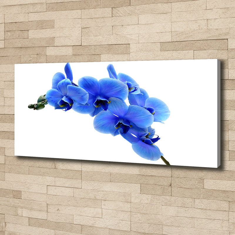 Blue Orchid - Wrapped Canvas Print