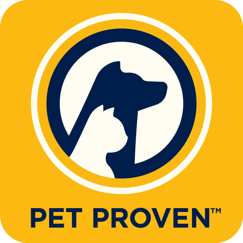 Little Green® Pet Pro Portable Carpet Cleaner 3908