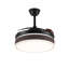 Ceiling Fan with LED Lights