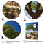 «African Green Tree Splendor», impressions sur toile florales et botaniques-1033810778-1033810765