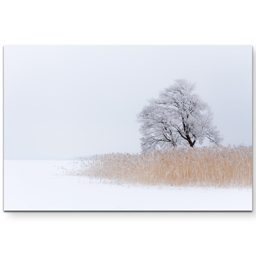 Leinwandbild Einsamer Baum an schneebedeckten See