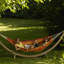Barbados Double Hammock-36120861