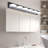6-Lamp Black Dimmable LED Industrial Vanity Light