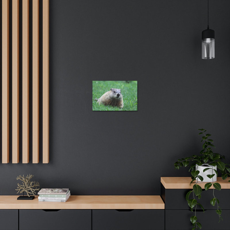 No Frame Print on Canvas, 30.48cm H x 45.72cm W
