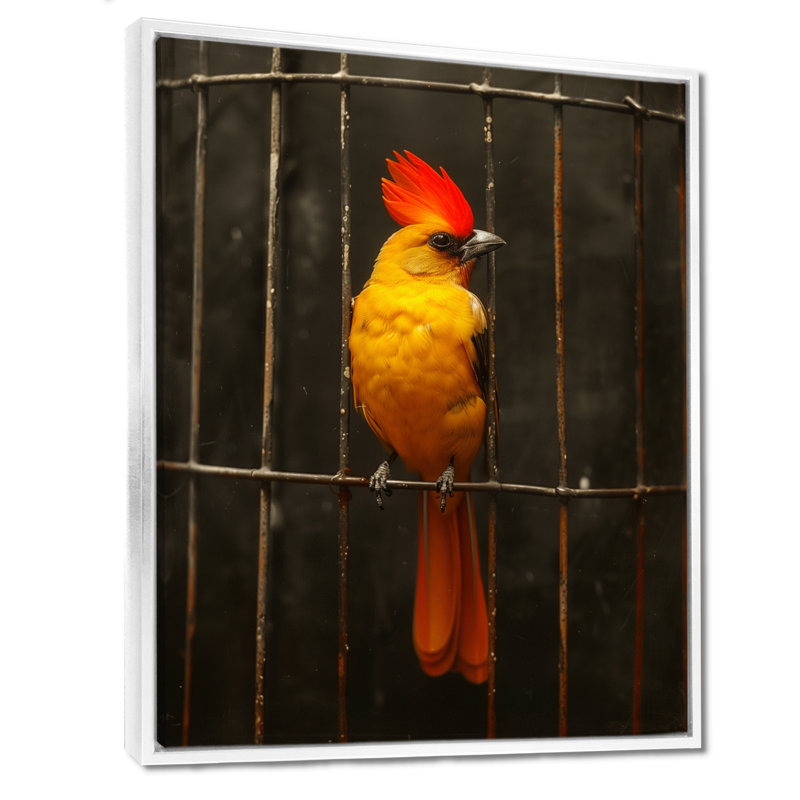 «Yellow Yellow Cage Bird Elegance», reproduction d'art murale oiseau, Toile encadrée flottée blanche