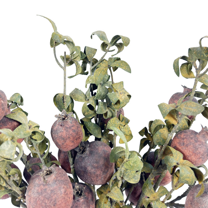 Antiqua Arrangement