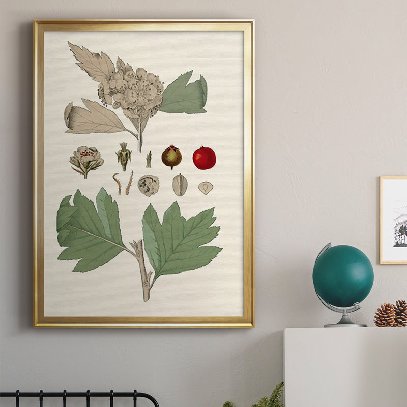 Feuilles et baies IV sur papier, Or, H 42,5 po x l 30,5 po x P 1 po