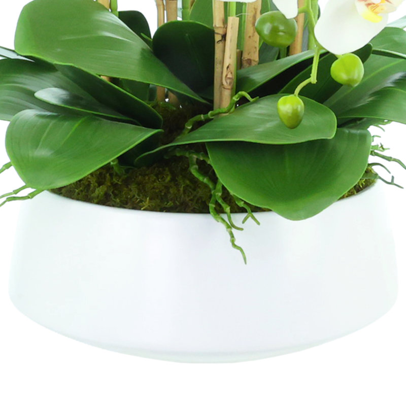 Arrangement d'orchidées Joellen
