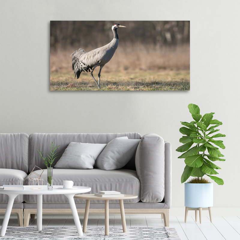 Heron - No Frame Print on Canvas