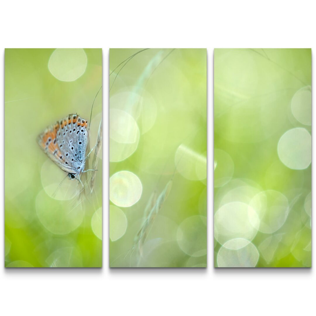 3-tlg. Leinwandbilder-Set Schmetterling mit Frühlingswiese