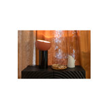 Zahra Powder-Coated Iron Torchiere Lamp