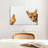 Brampt Chicken And Fox-107853279