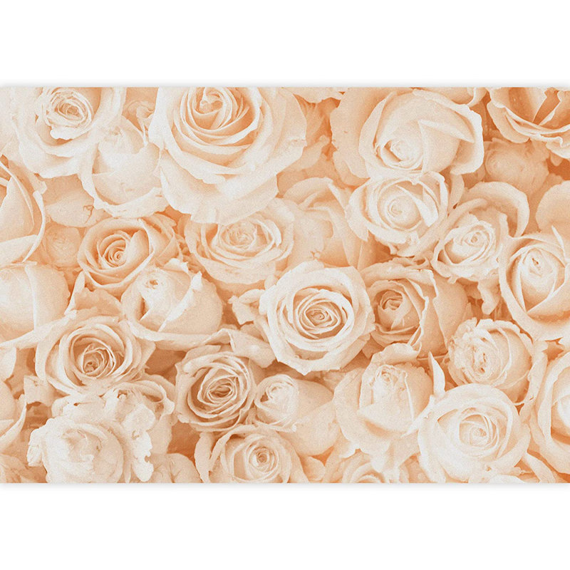Peel & Stick Floral Border, 100" L x 144" W