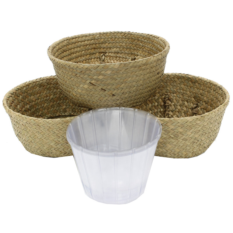 Panier de ruppie maritime Belly, H 6,5 po x l 6,5 po x P 6,5 po