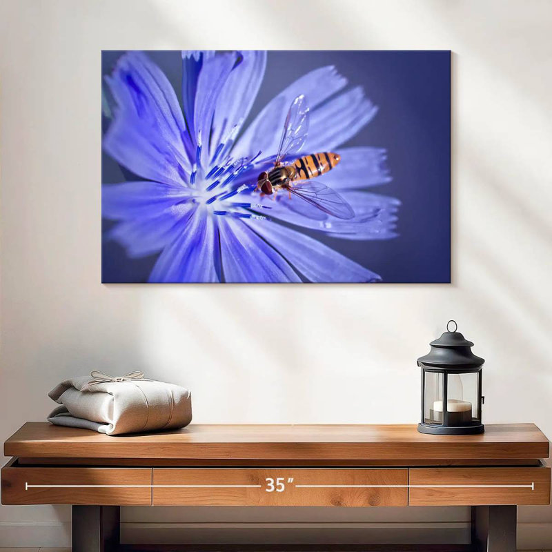 Abeille sur une fleur de chicorée, H 16 po x l 24 po