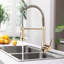 Belfry Kitchen Wall Pull Down Kitchen Faucet-403067248