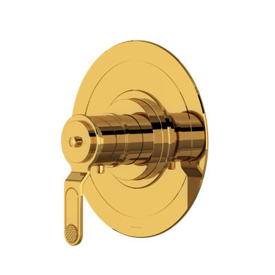 Armstrong 3/4" Thermostatic Trim Without Volume Control