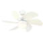 Ventilateur de plafond 30 lames à 6 pales avec chaînette et ensemble d'éclairage inclus 30 po Jerseyville-90290859