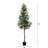 13ft. Artificial Olive Tree